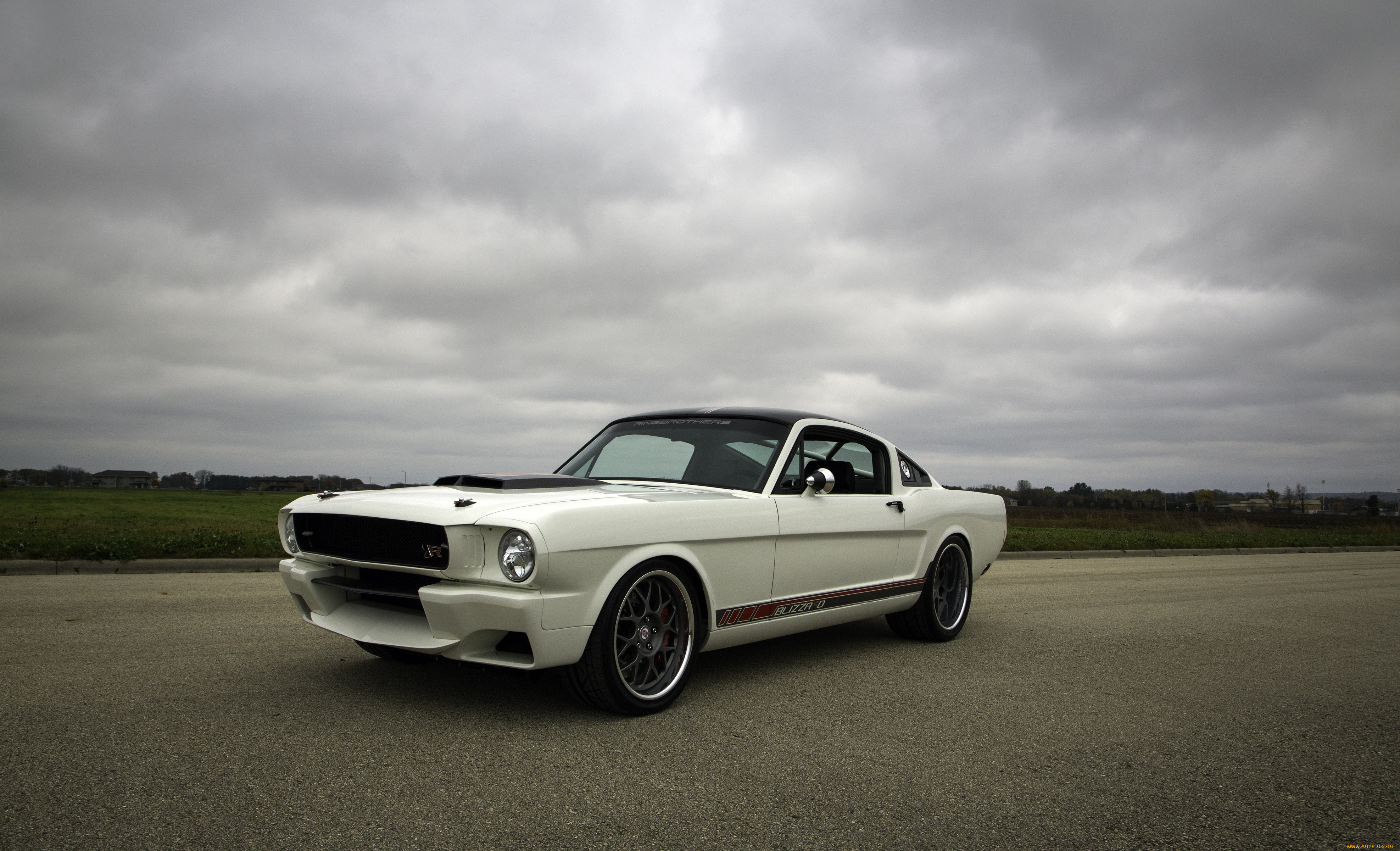 , mustang, ford, blizzard, 1965, white, fastback, side, rear, ringbrothers
